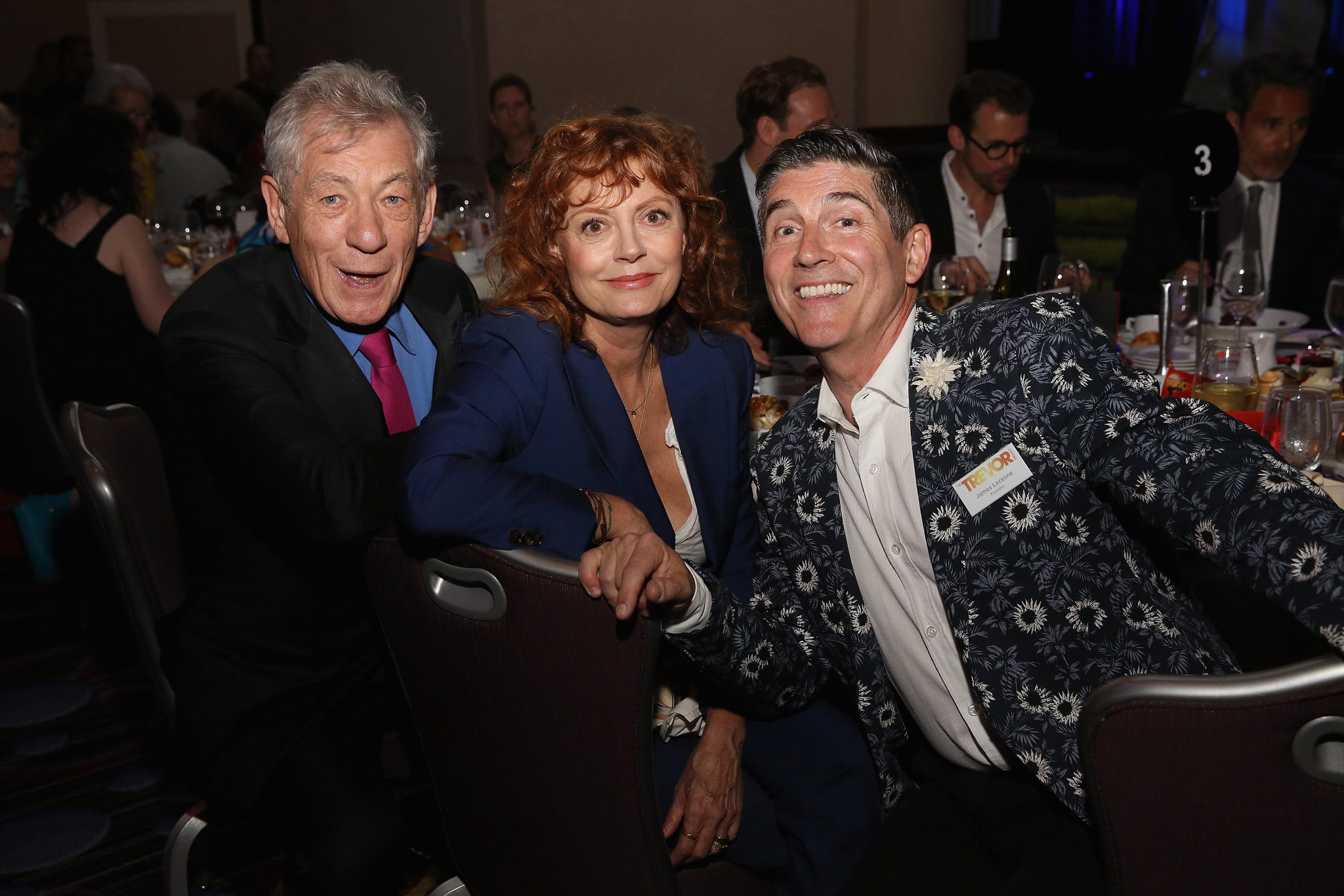 Susan Sarandon, Ian McKellen and James Lecesne