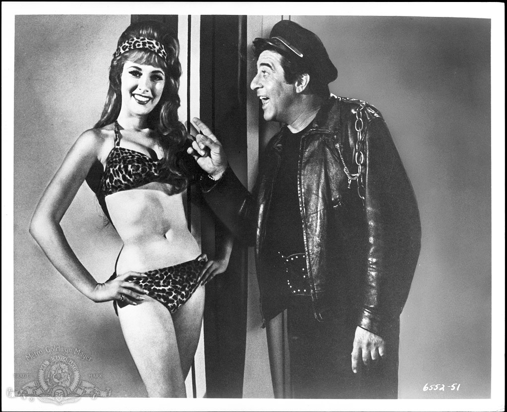 Still of Beverly Adams and Harvey Lembeck in How to Stuff a Wild Bikini (1965)