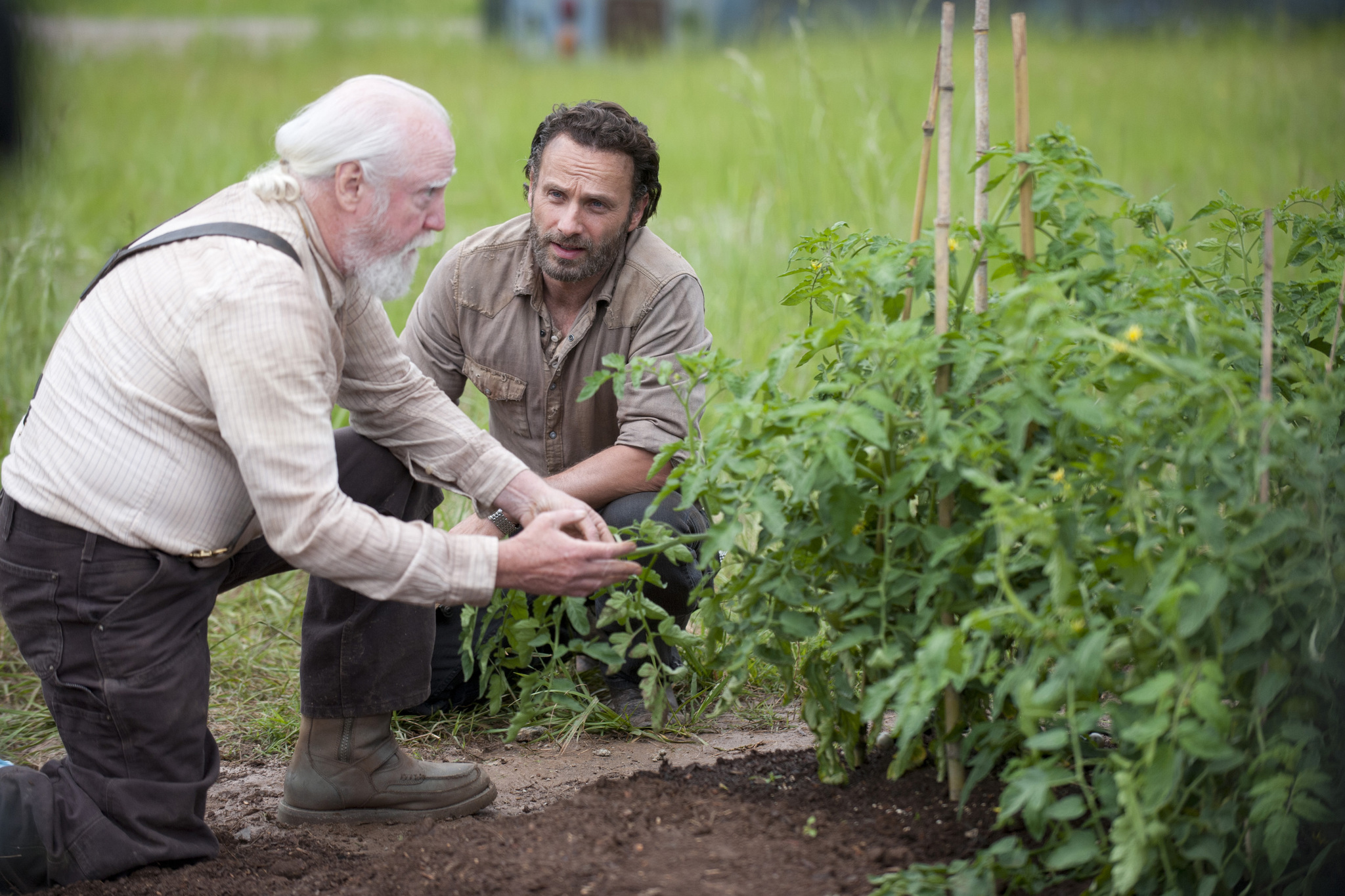 Still of Andrew Lincoln and Scott Wilson in Vaiksciojantys negyveliai (2010)