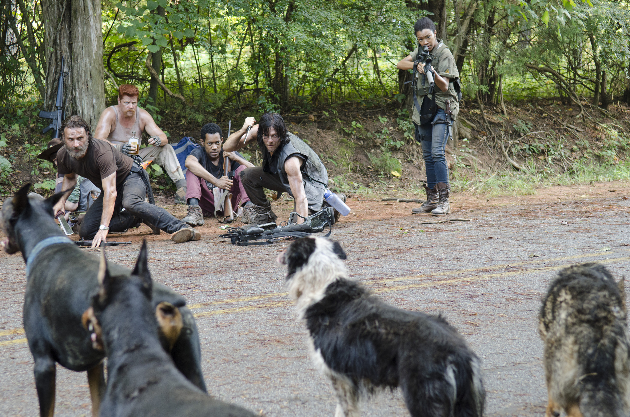 Still of Norman Reedus, Michael Cudlitz, Andrew Lincoln, Tyler James Williams and Sonequa Martin-Green in Vaiksciojantys negyveliai (2010)