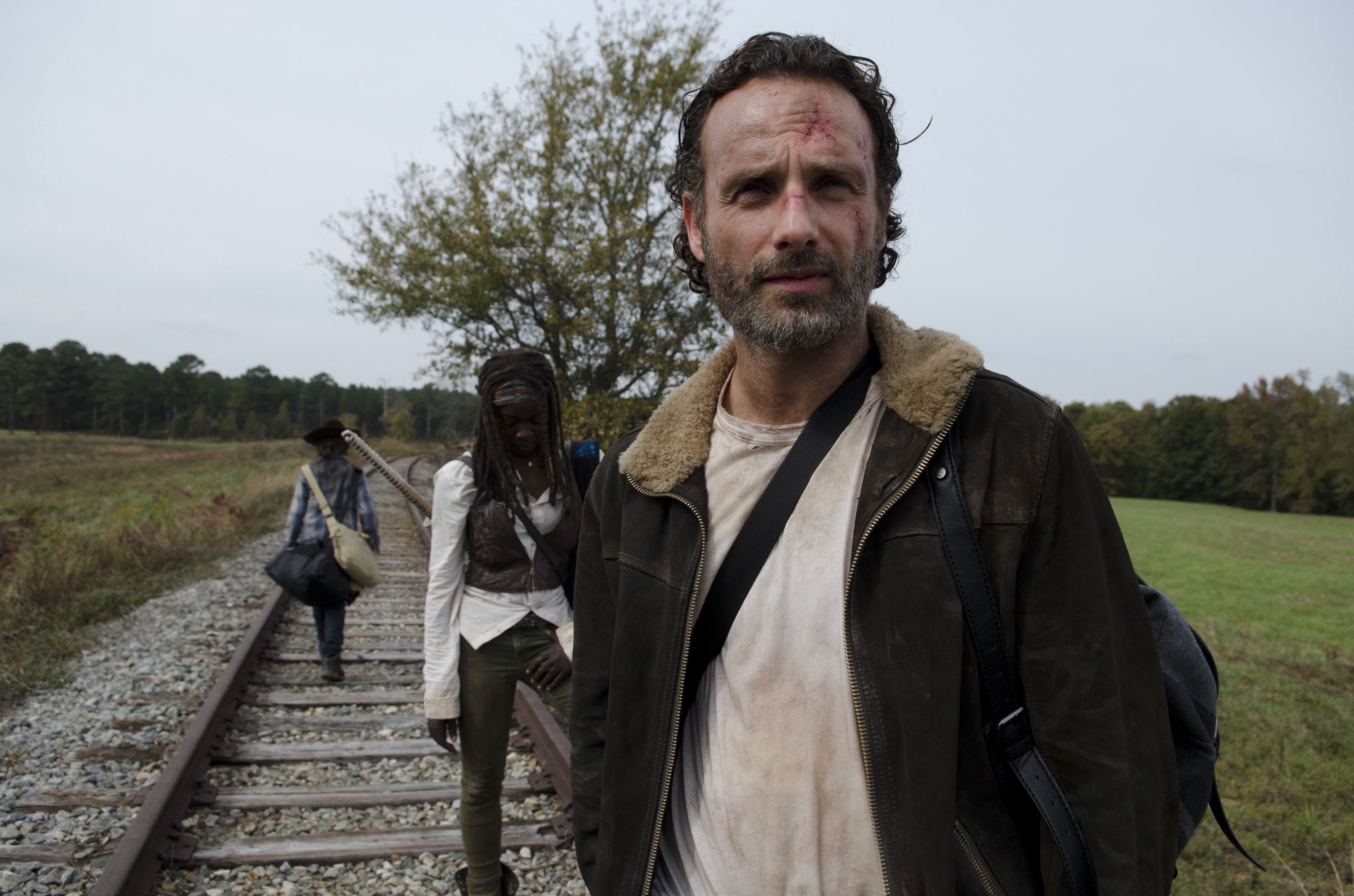 Still of Andrew Lincoln, Danai Gurira and Chandler Riggs in Vaiksciojantys negyveliai: Us (2014)