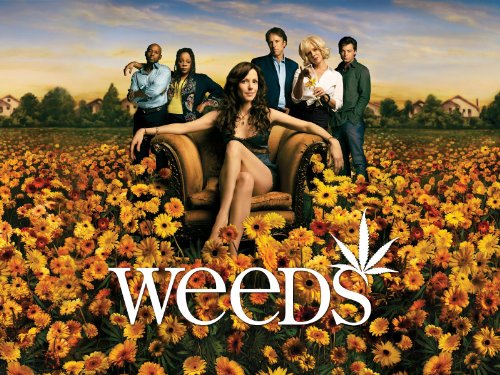 Still of Mary-Louise Parker, Elizabeth Perkins, Justin Kirk, Kevin Nealon, Romany Malco and Tonye Patano in Weeds (2005)