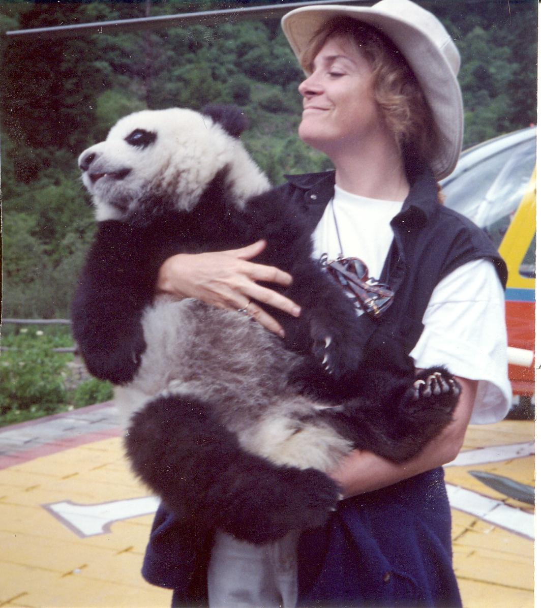 Raising a Baby Panda from the Woolong Reserver in Szchechaun Province in China for Warner Bros. The Amazing Panda Adventure.