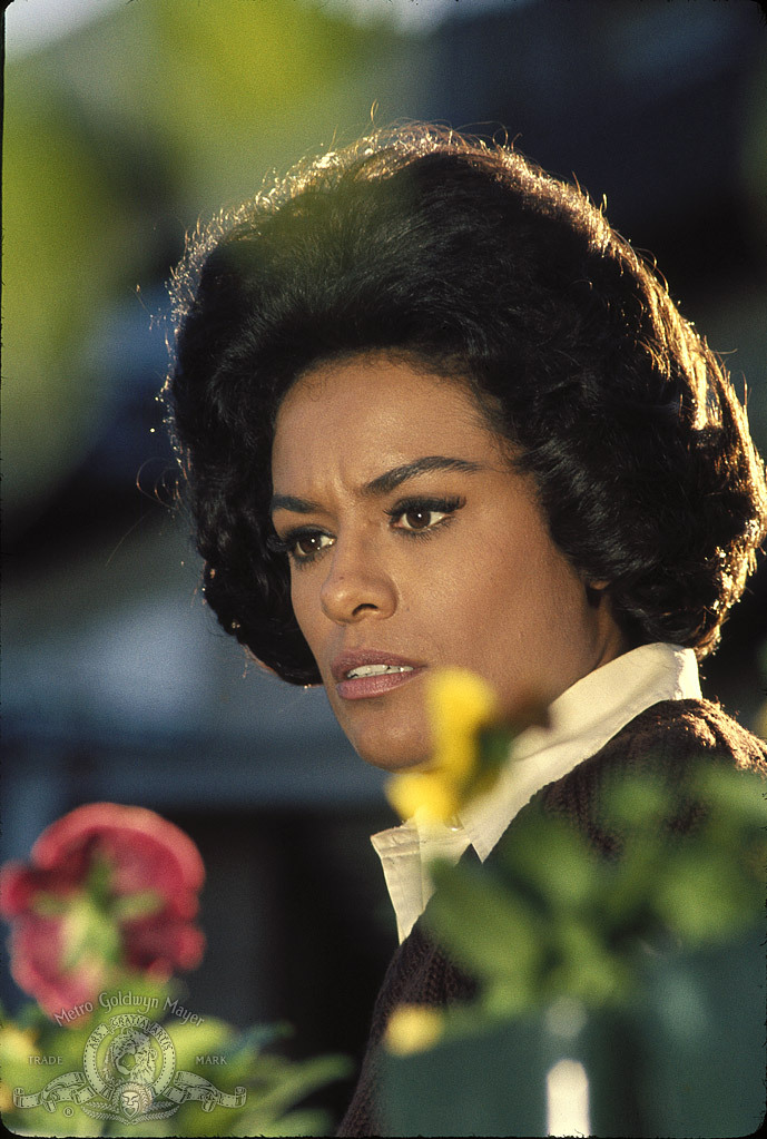 Still of Barbara McNair in They Call Me Mister Tibbs! (1970)