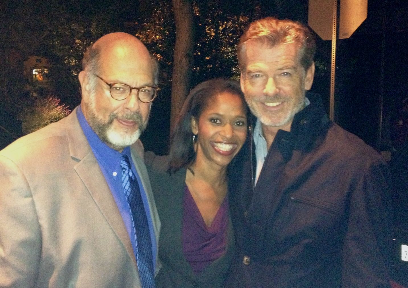 Fred Melamed, Merrin Dungey and Pierce Brosnan in How To Make Love Like An Englishman