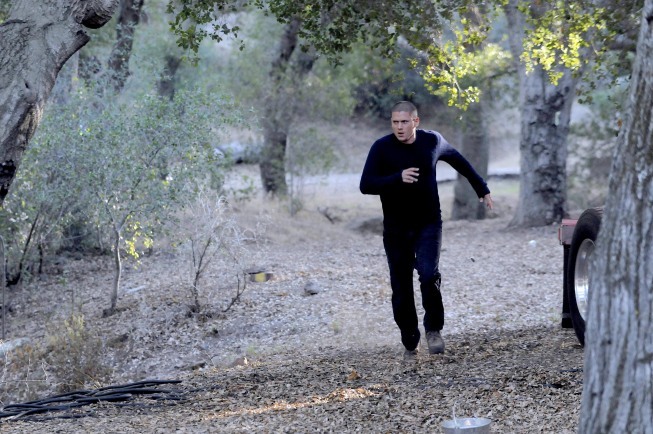 Still of Wentworth Miller in Kalejimo begliai (2005)