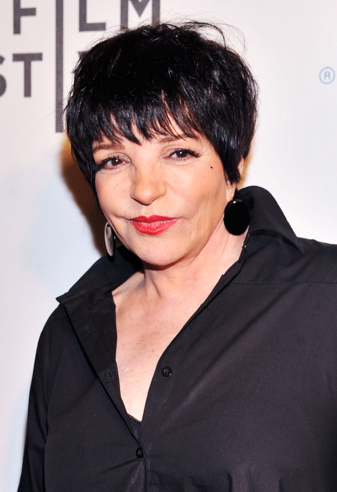 Liza Minnelli at event of Mistaken for Strangers (2013)