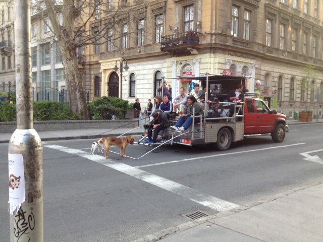 White God in Budapest. Camera car work.