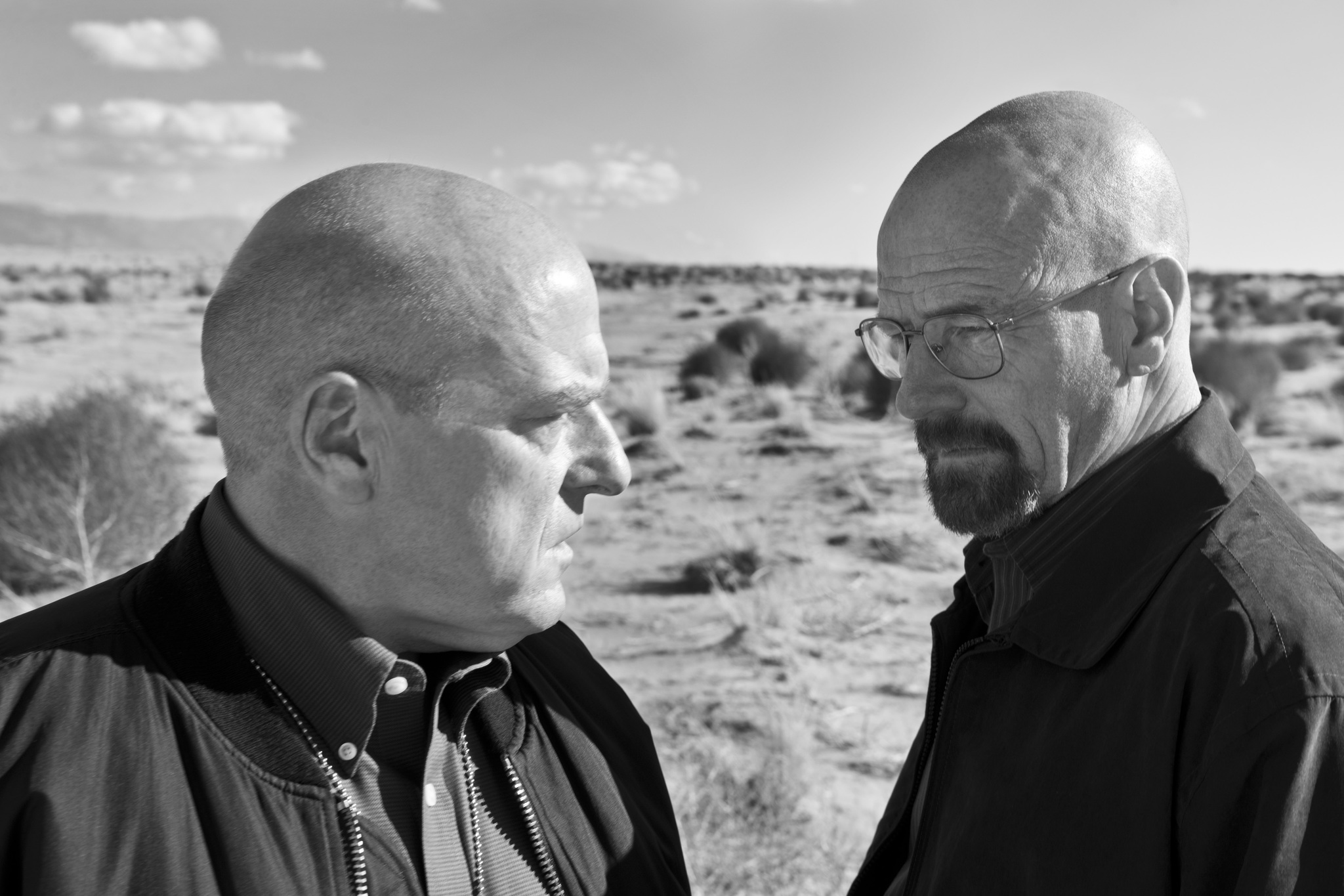 Still of Bryan Cranston and Dean Norris in Brestantis blogis (2008)