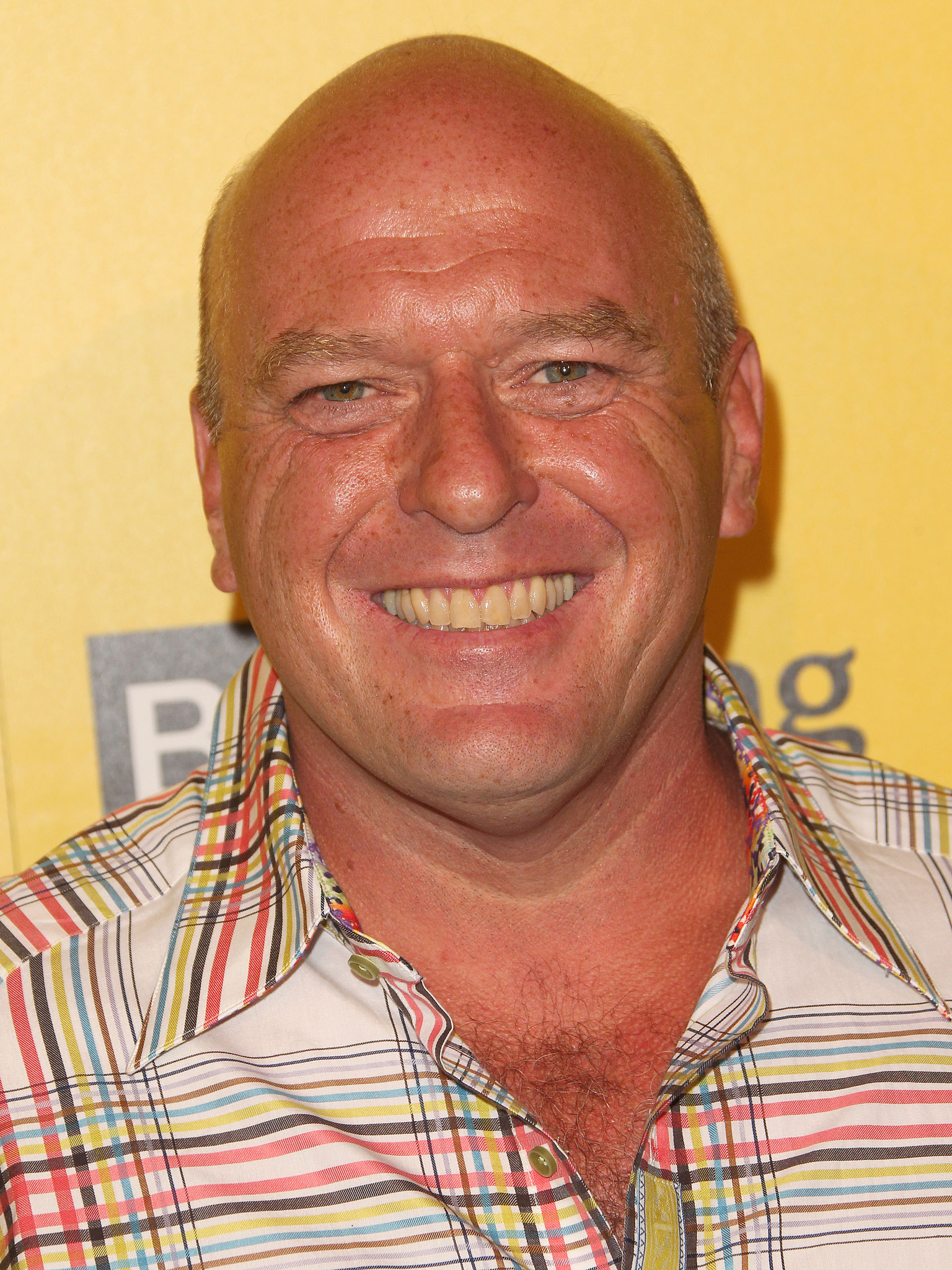 Dean Norris at event of Brestantis blogis (2008)