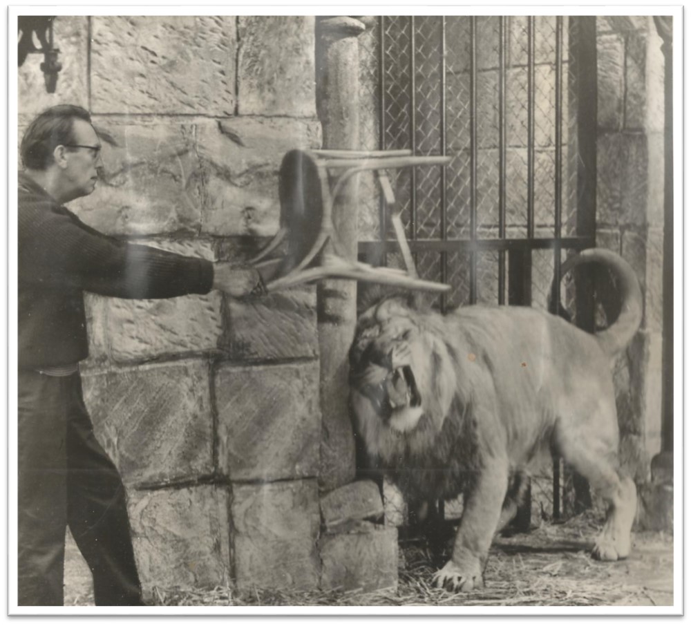 Ernest Morris, Director - Lion Tamer