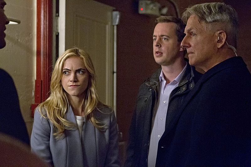 Still of Mark Harmon, Sean Murray and Emily Wickersham in NCIS: Naval Criminal Investigative Service (2003)