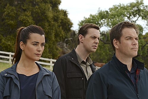 Still of Sean Murray, Michael Weatherly and Cote de Pablo in NCIS: Naval Criminal Investigative Service (2003)