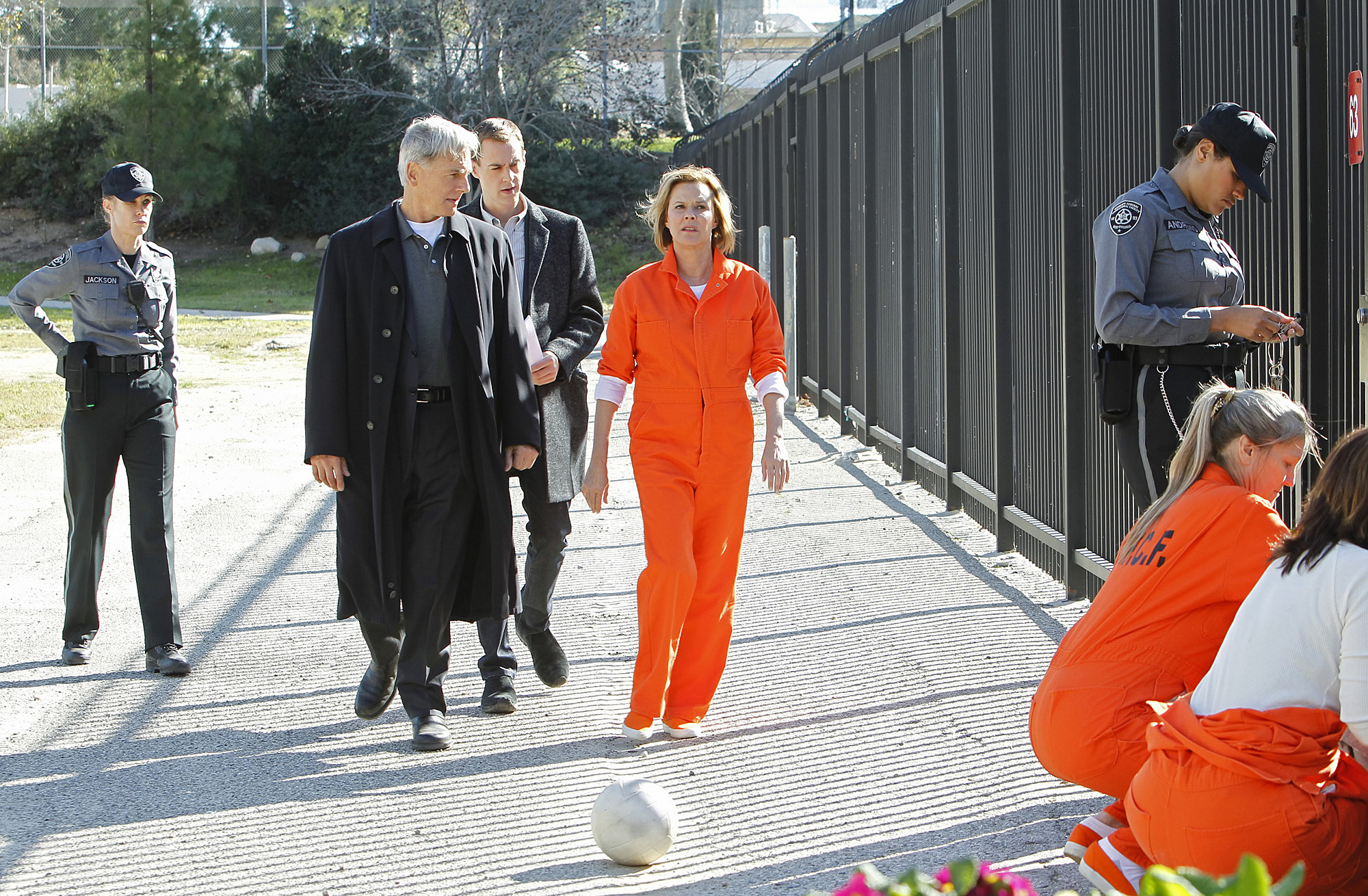 Still of Mark Harmon, JoBeth Williams and Sean Murray in NCIS: Naval Criminal Investigative Service (2003)