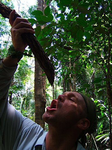 Life in the Jungle. Keith Neubert learns survival techniques from Mayan Bushmen in Central America.