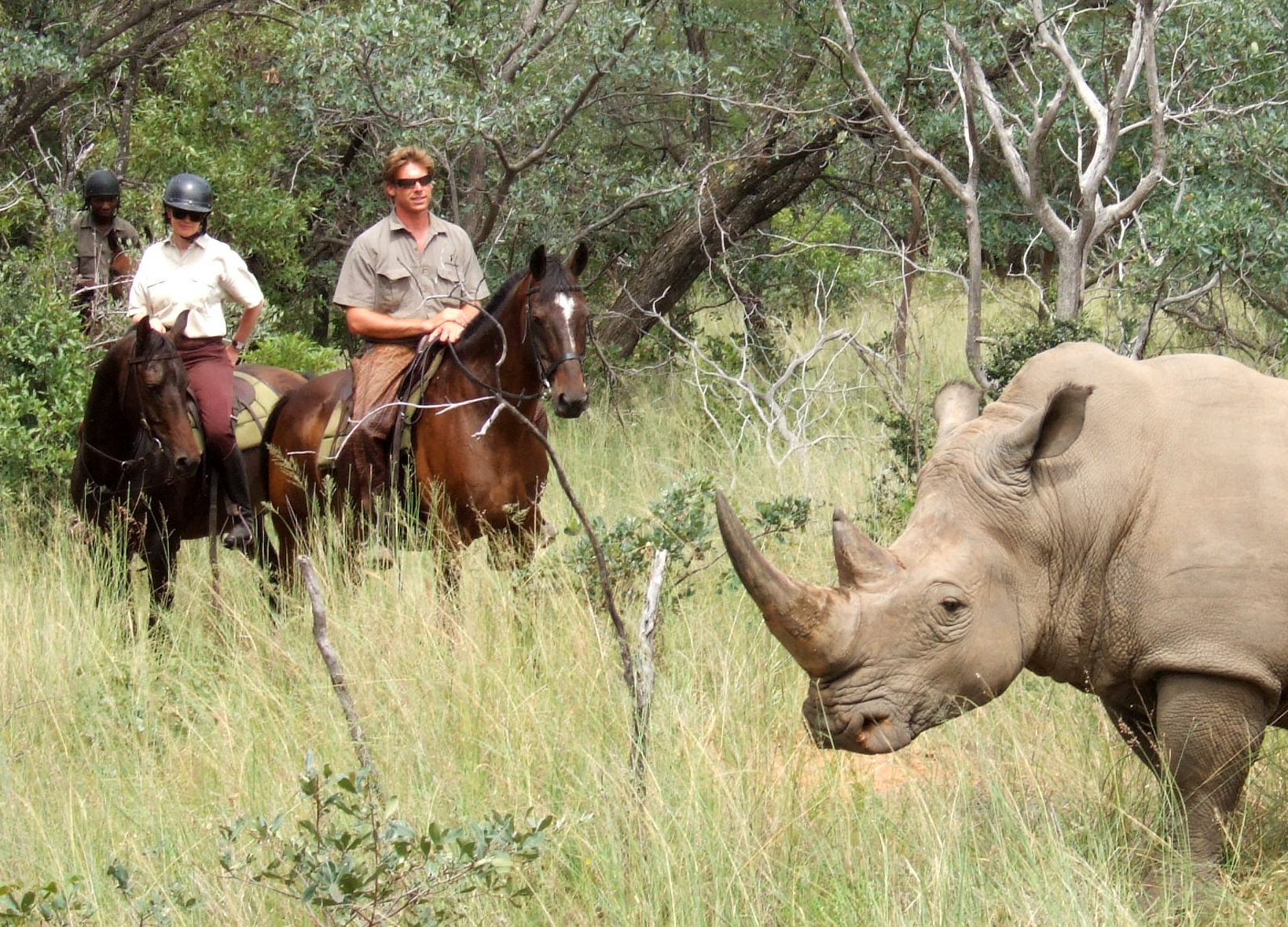 Writer Sophie Neville in South Africa http://www.waterberg.net/