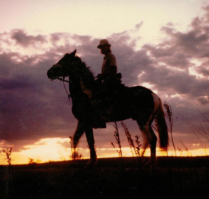 Sophie Neville, Author Ride the Wings of Morning