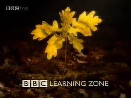 BBC Learning Zone for which Sophie Neville produced an INSET series