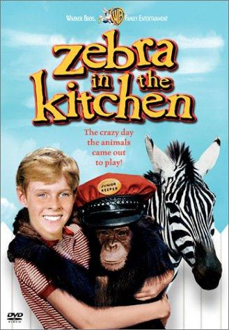 Jay North in Zebra in the Kitchen (1965)