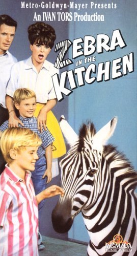 Martin Milner and Jay North in Zebra in the Kitchen (1965)