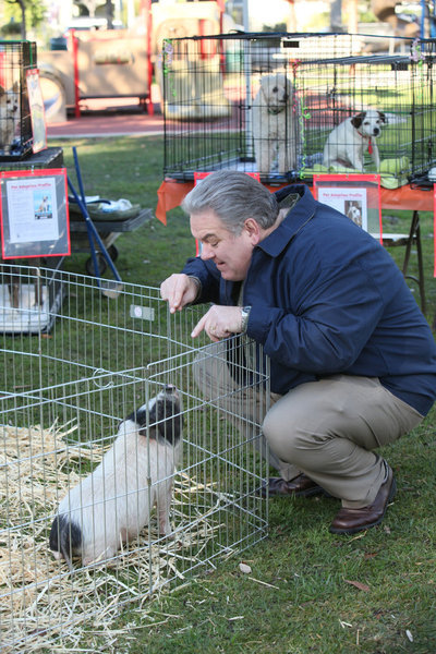 Still of Jim O'Heir in Parks and Recreation (2009)