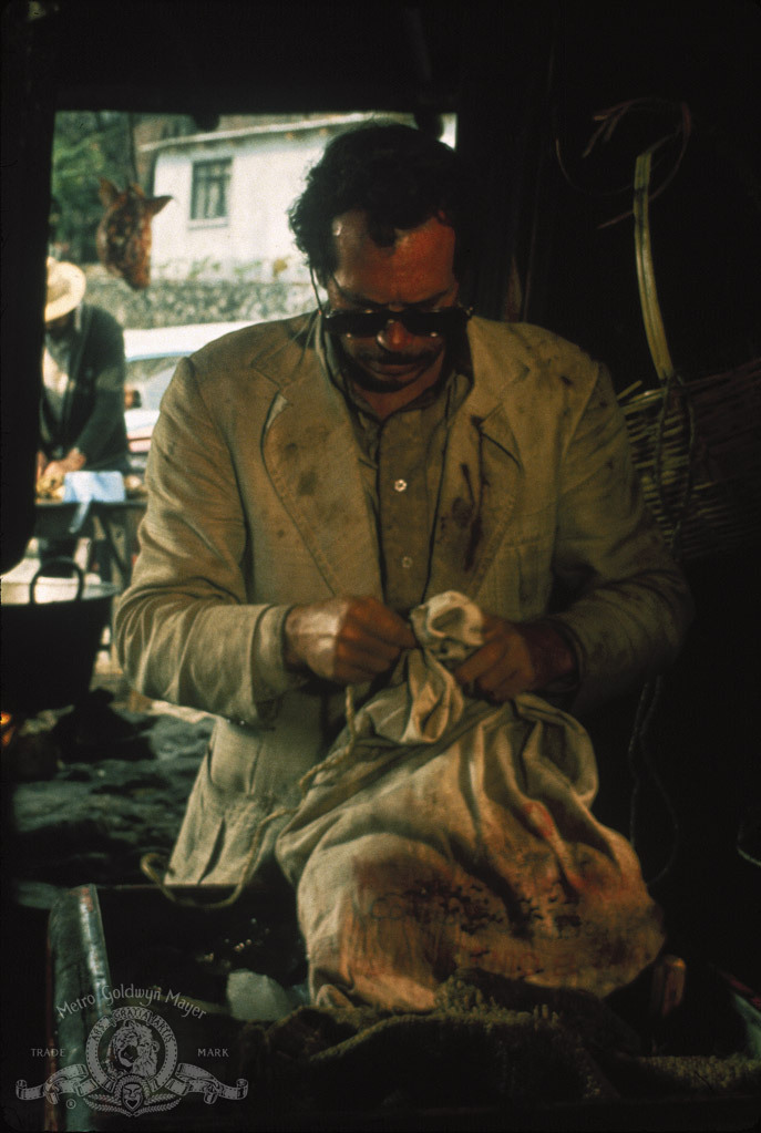 Still of Warren Oates in Bring Me the Head of Alfredo Garcia (1974)