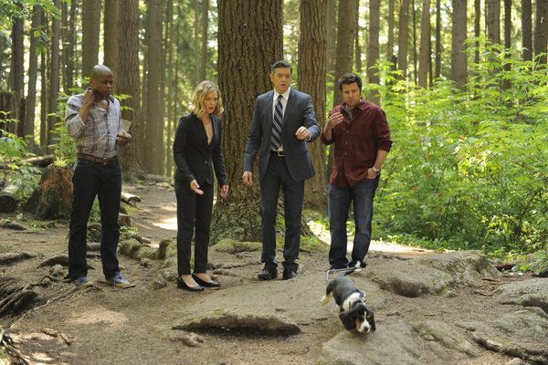 Still of Dulé Hill, Maggie Lawson, Timothy Omundson and James Roday in Aiskiaregys (2006)