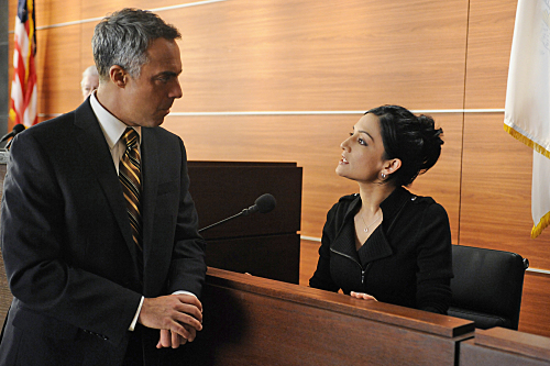 Still of Archie Panjabi and Titus Welliver in The Good Wife (2009)