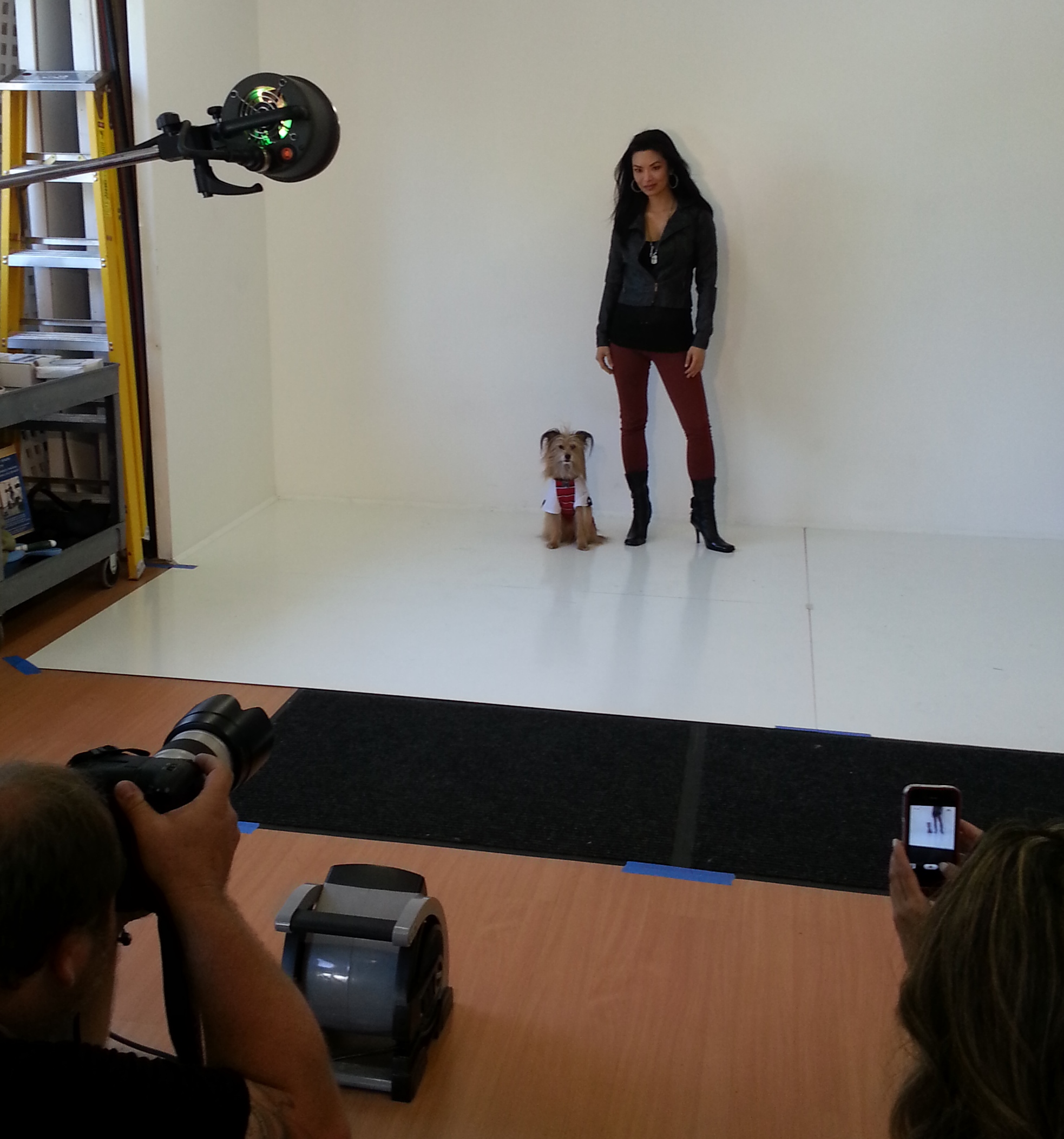 Shoot with Rocky the Rescue ...animal rescue charity campaign