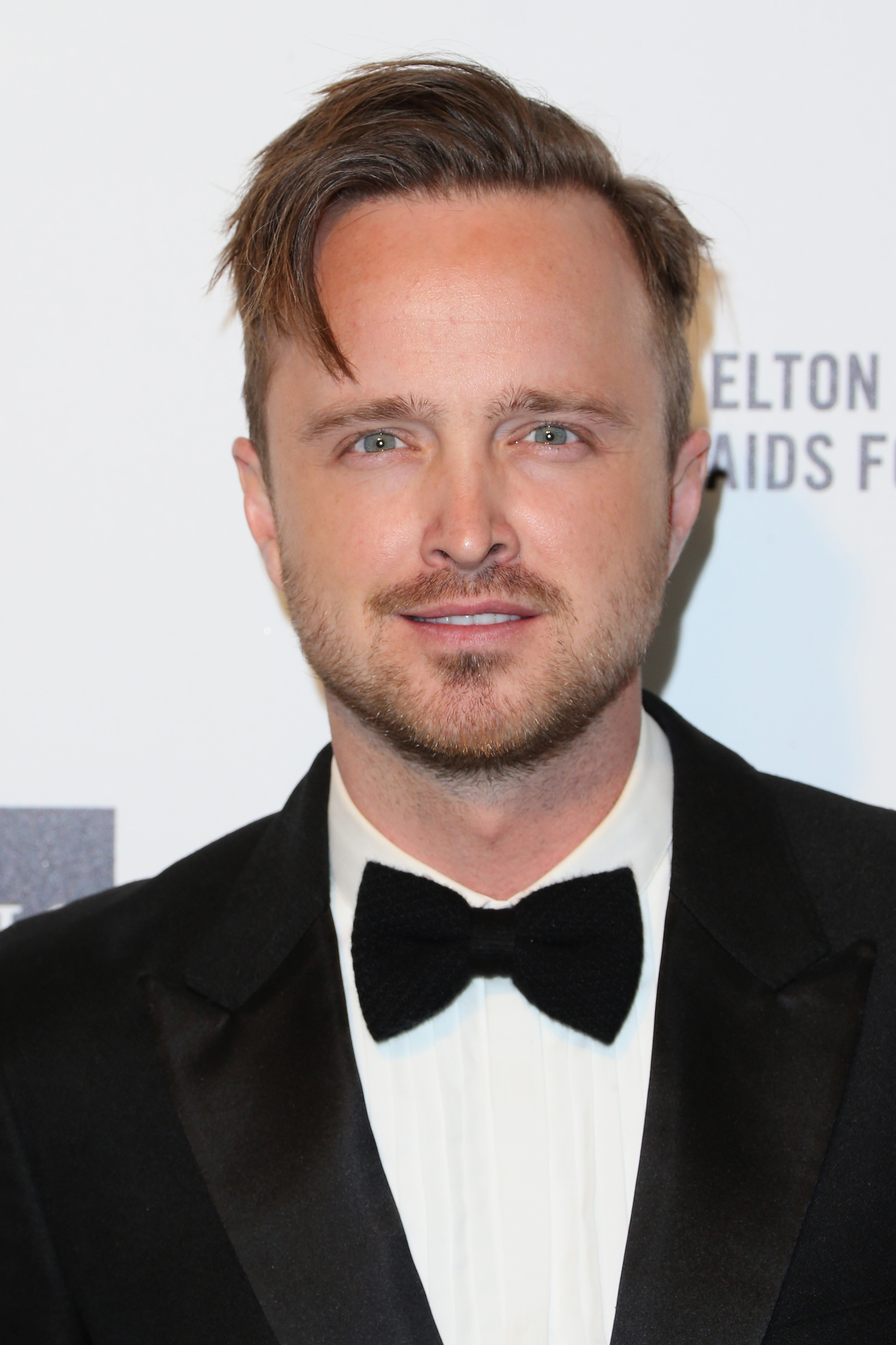 Aaron Paul at event of The Oscars (2015)