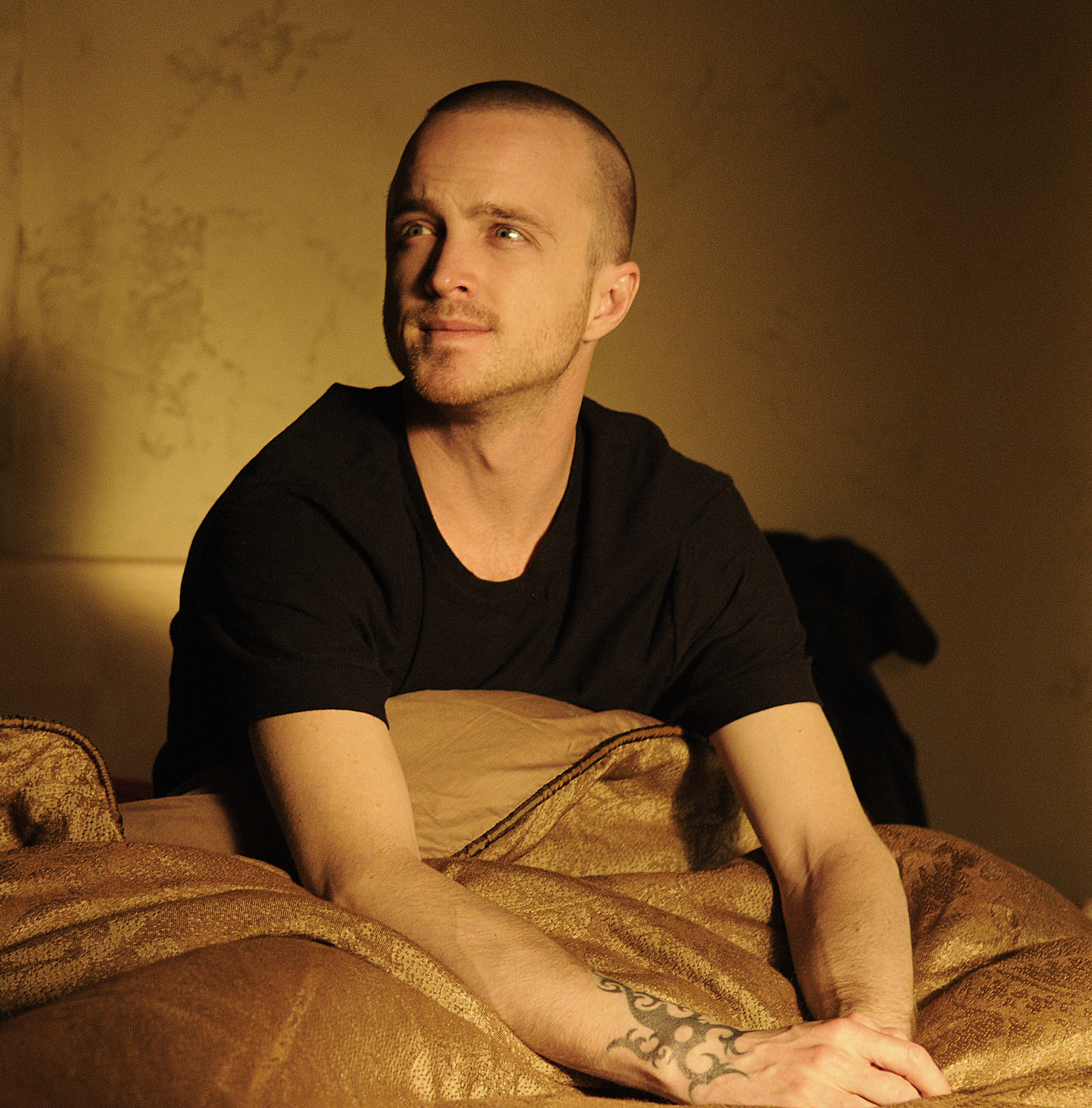 Still of Aaron Paul in Brestantis blogis (2008)