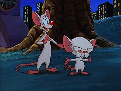 Still of Maurice LaMarche and Rob Paulsen in Pinky and the Brain (1995)
