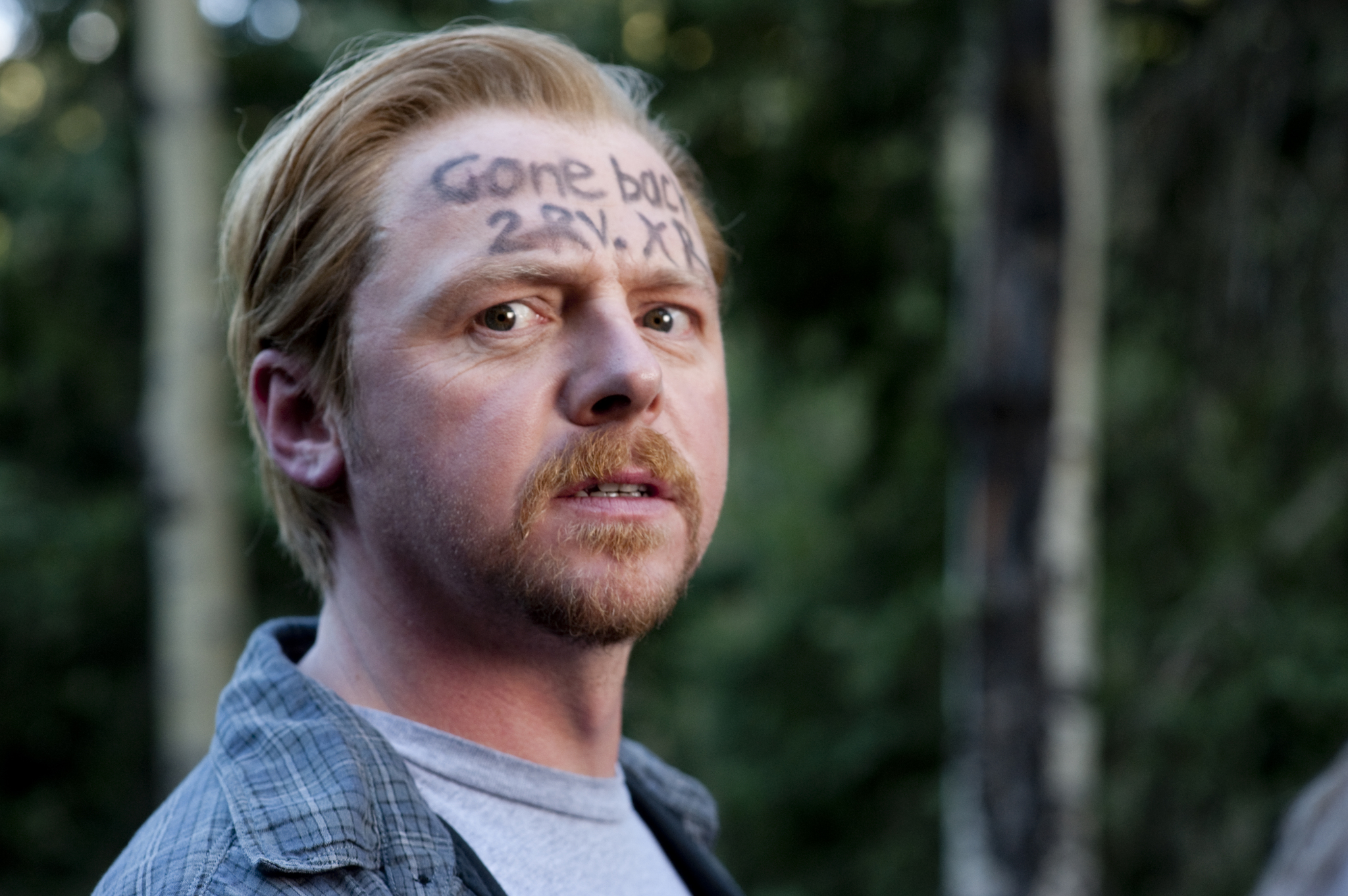 Still of Simon Pegg in Polas (2011)