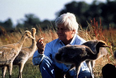 Director Jacques Perrin with Eurasian Cranes