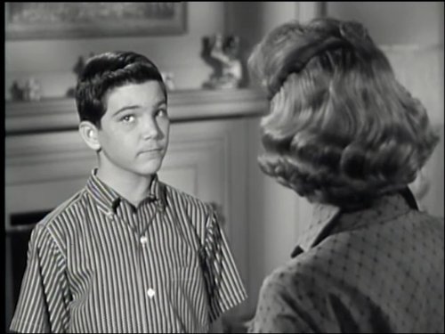 Still of Paul Petersen in The Donna Reed Show (1958)