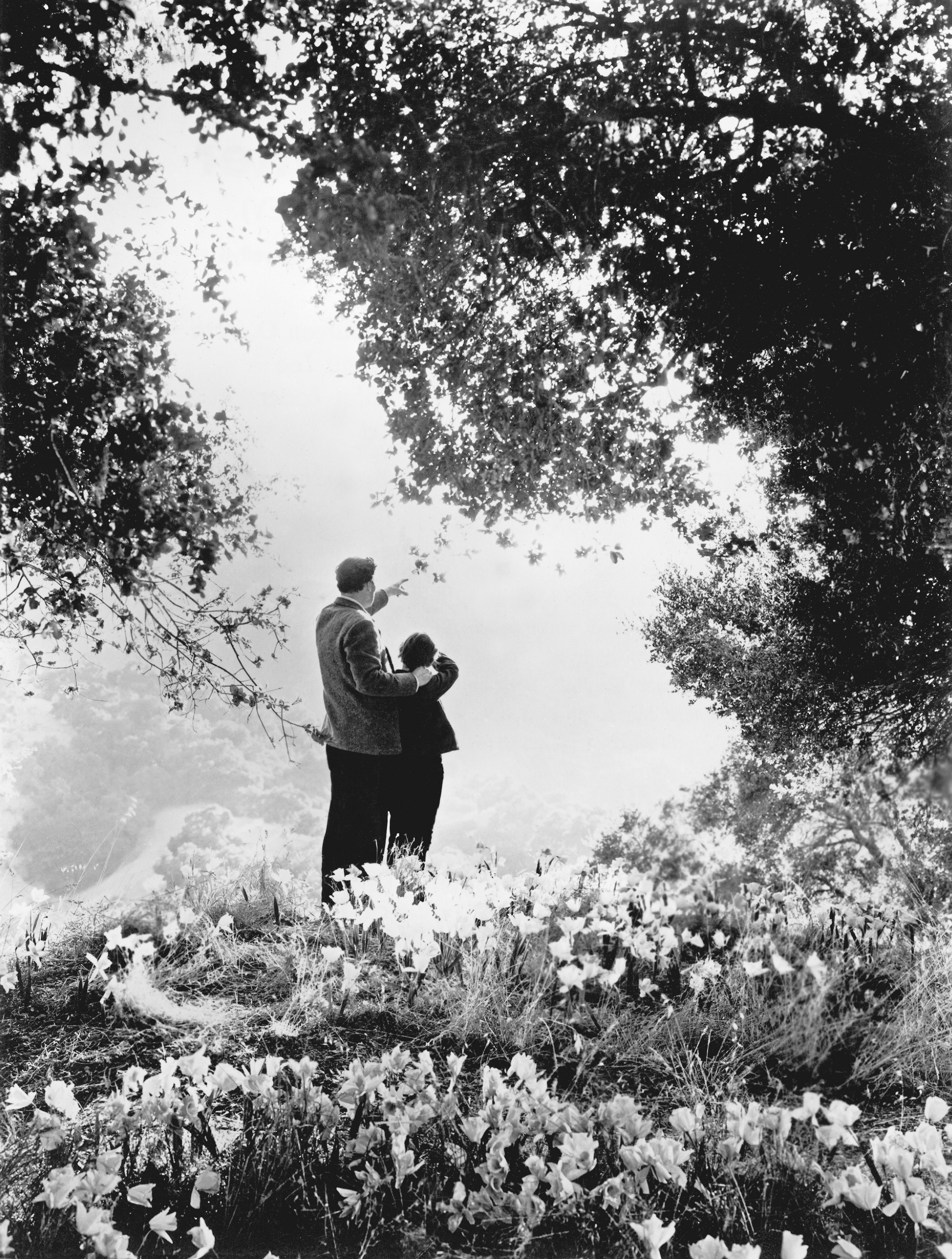 Still of Roddy McDowall and Walter Pidgeon in How Green Was My Valley (1941)