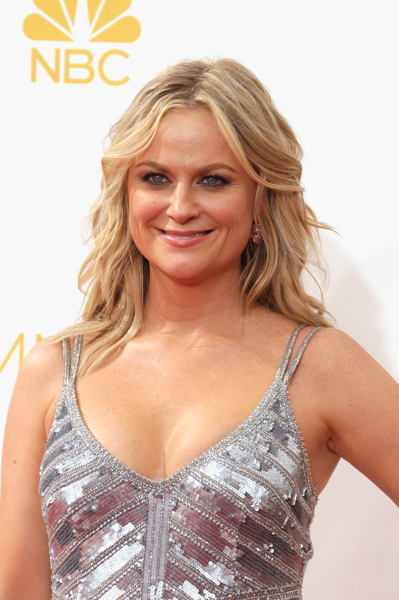 Amy Poehler at event of The 66th Primetime Emmy Awards (2014)