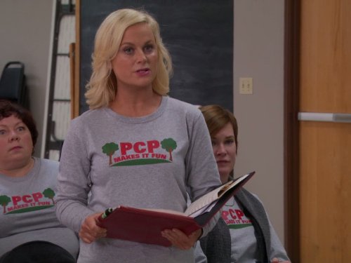 Still of Amy Poehler in Parks and Recreation (2009)