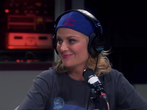 Still of Amy Poehler in Parks and Recreation (2009)