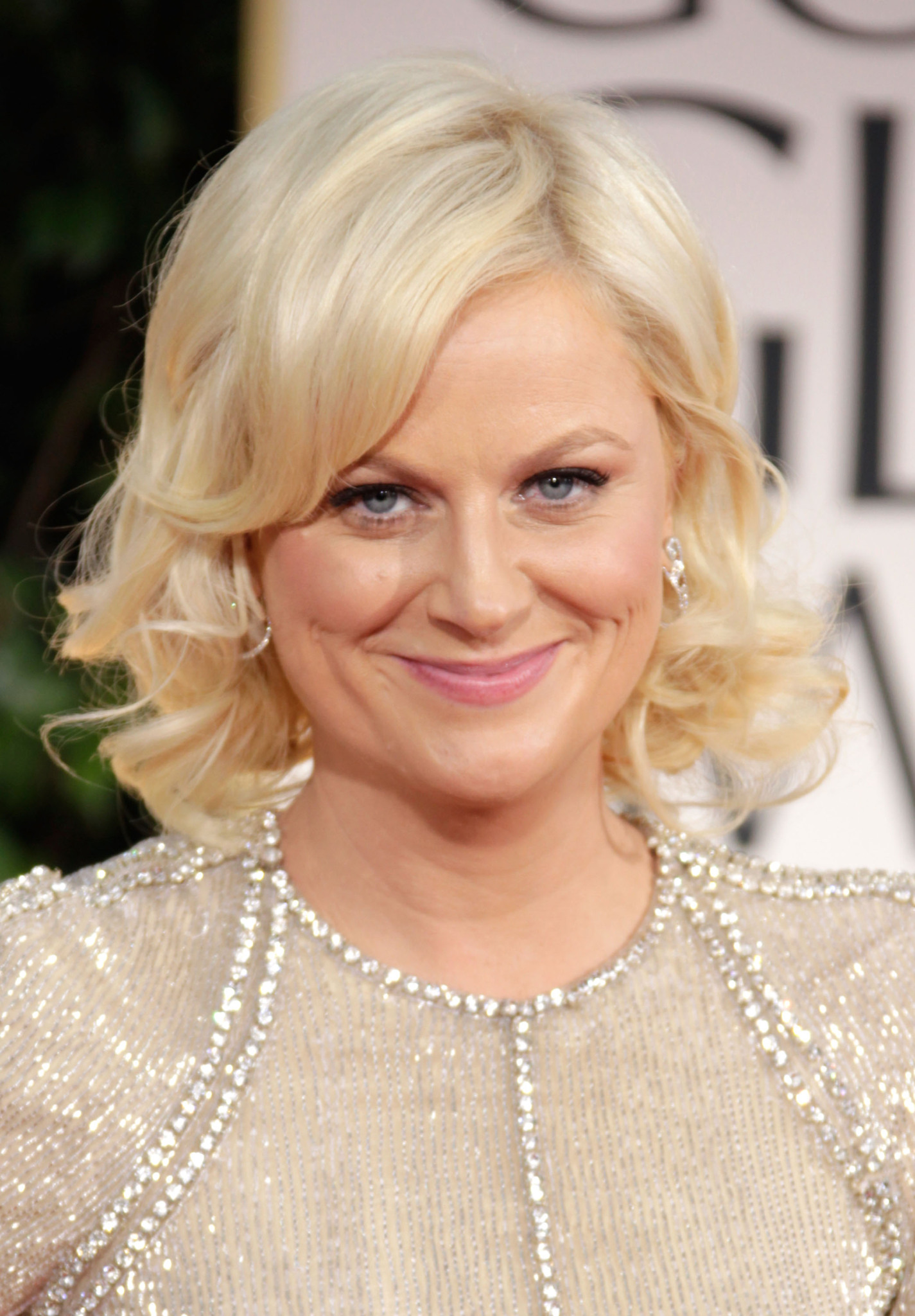 Amy Poehler