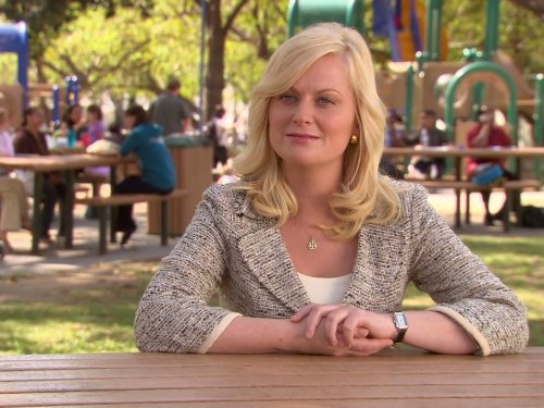 Still of Amy Poehler in Parks and Recreation (2009)