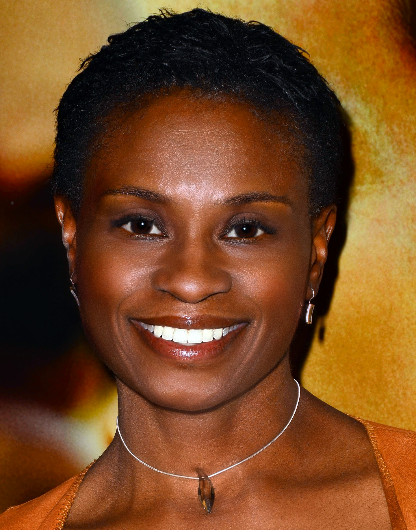 Adina Porter. Celebrity arrivals for the Los Angeles premiere of HBO's comedy series LOOKING at The Paramount Theater in Paramount Studios in Hollywood. 1/15/2014