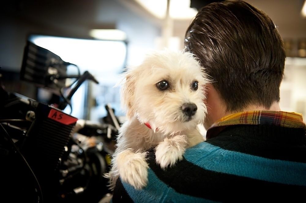 Zachary Quinto in between scenes during the filming of Dog Eat Dog.