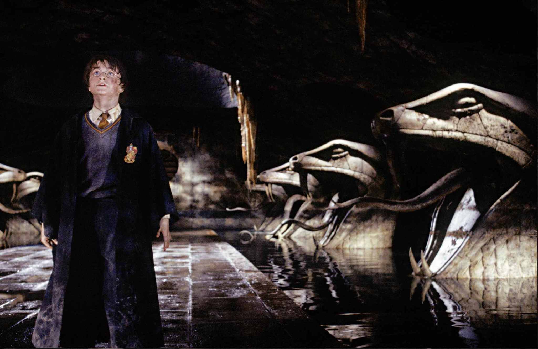 Still of Daniel Radcliffe in Haris Poteris ir paslapciu kambarys (2002)