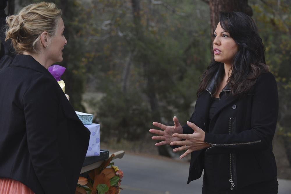 Still of Jessica Capshaw and Sara Ramirez in Grei anatomija (2005)