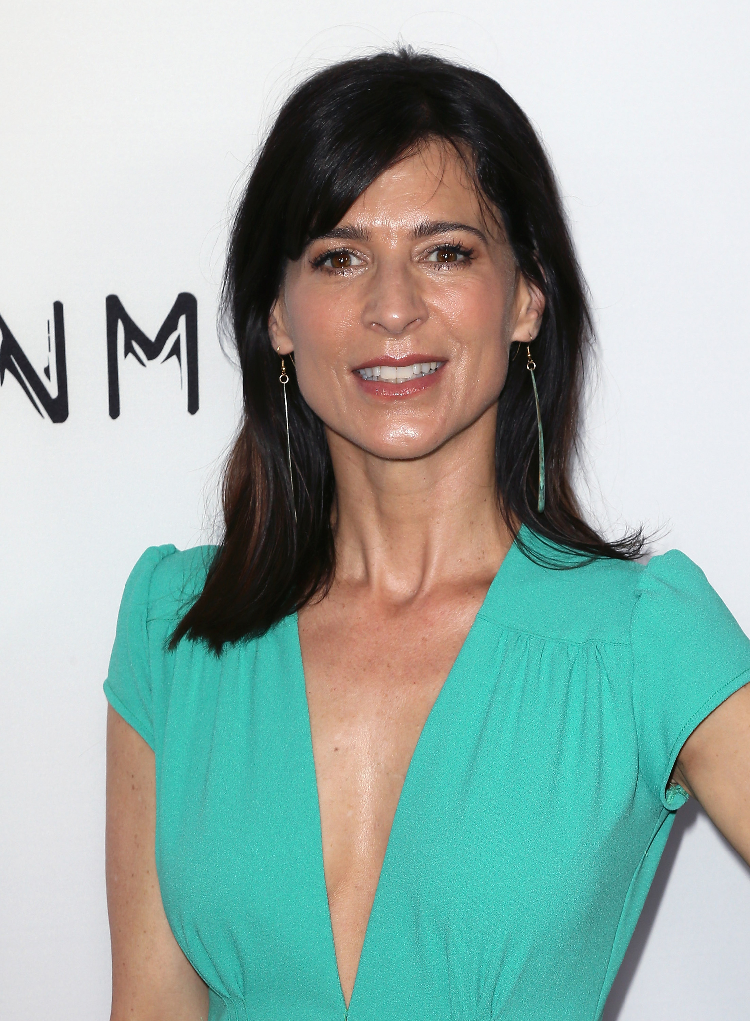 Perrey Reeves at event of The Gunman (2015)