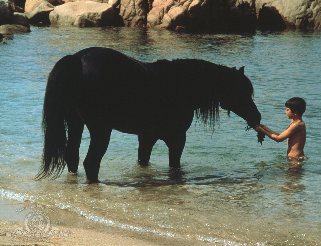 Still of Kelly Reno in The Black Stallion (1979)
