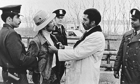 Still of Herbert Jefferson Jr. and Hari Rhodes in Detroit 9000 (1973)