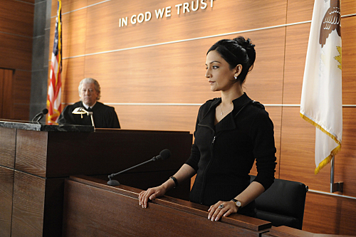 Still of Archie Panjabi and Peter Riegert in The Good Wife (2009)