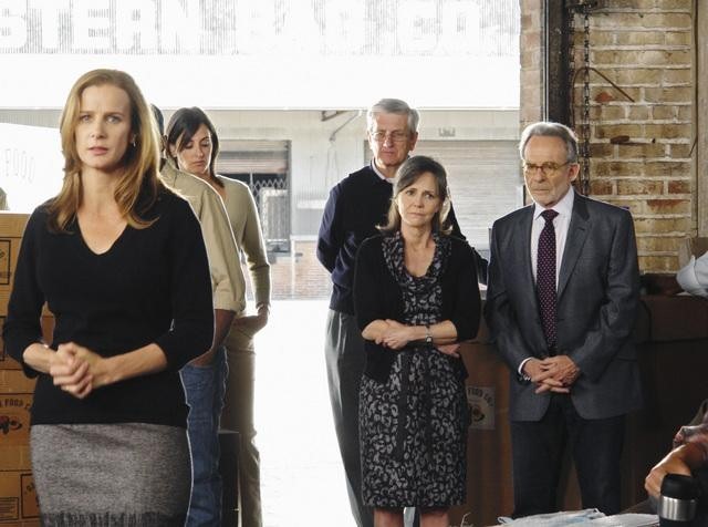 Still of Sally Field, Rachel Griffiths and Ron Rifkin in Brothers & Sisters (2006)
